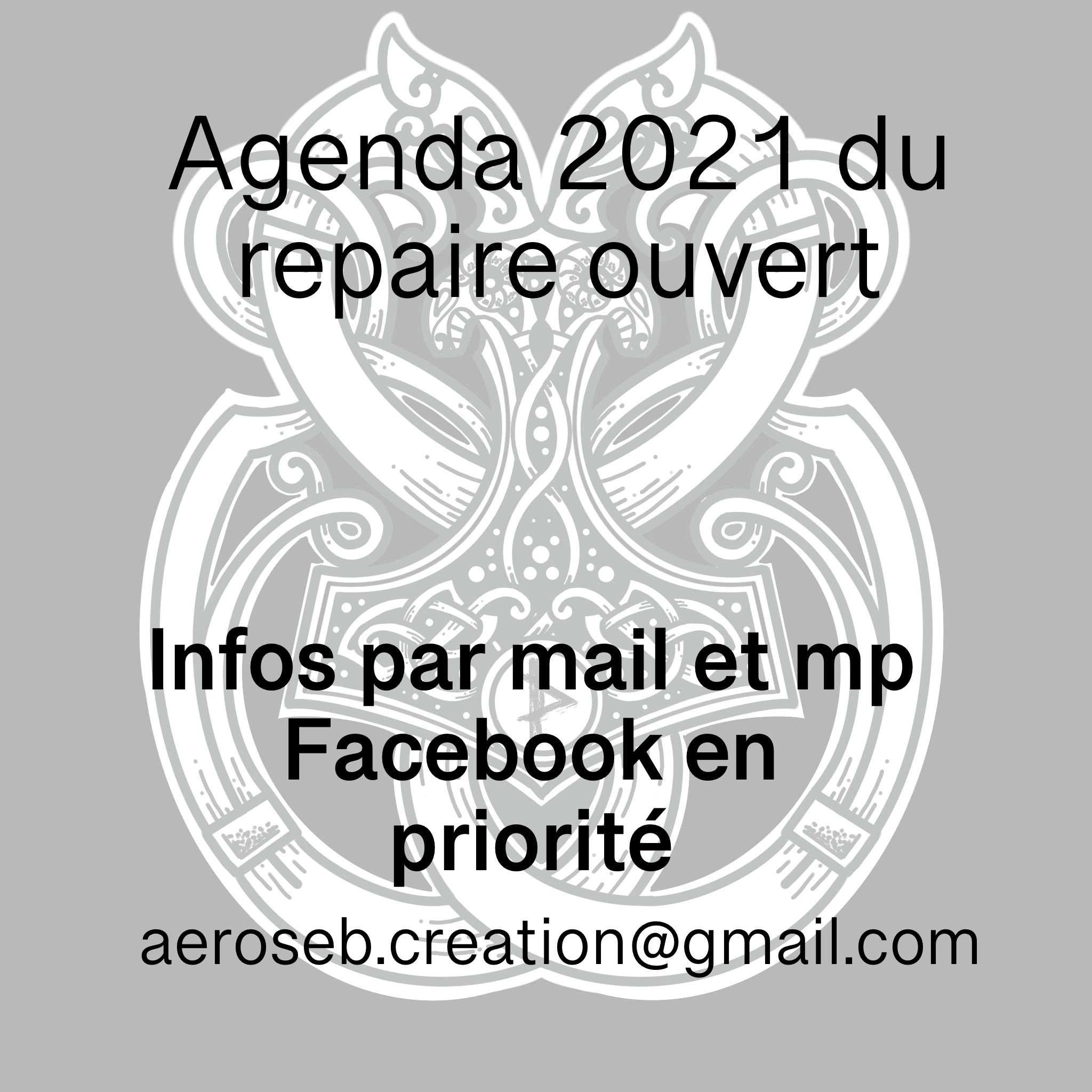 Ouverture De L Agenda 2021 Le Repaire De Ragnar